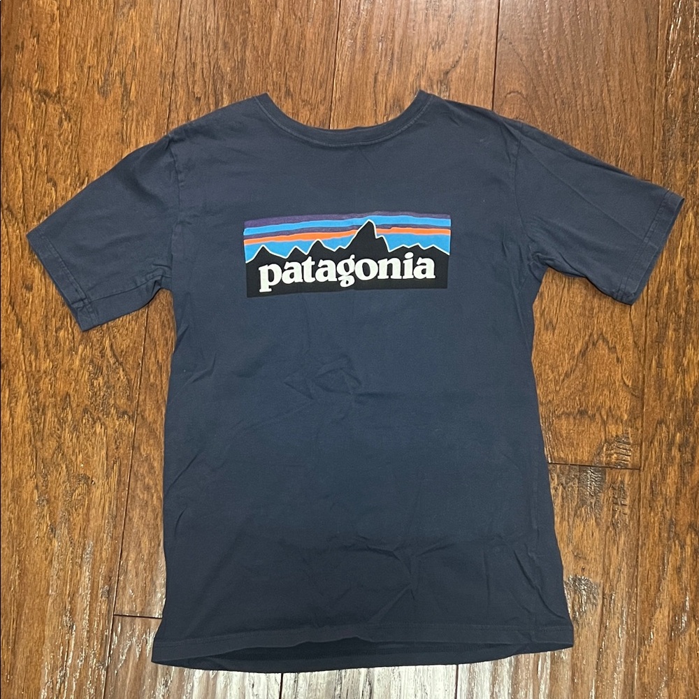 Patagonia Blue Tee with Vibrant Logo